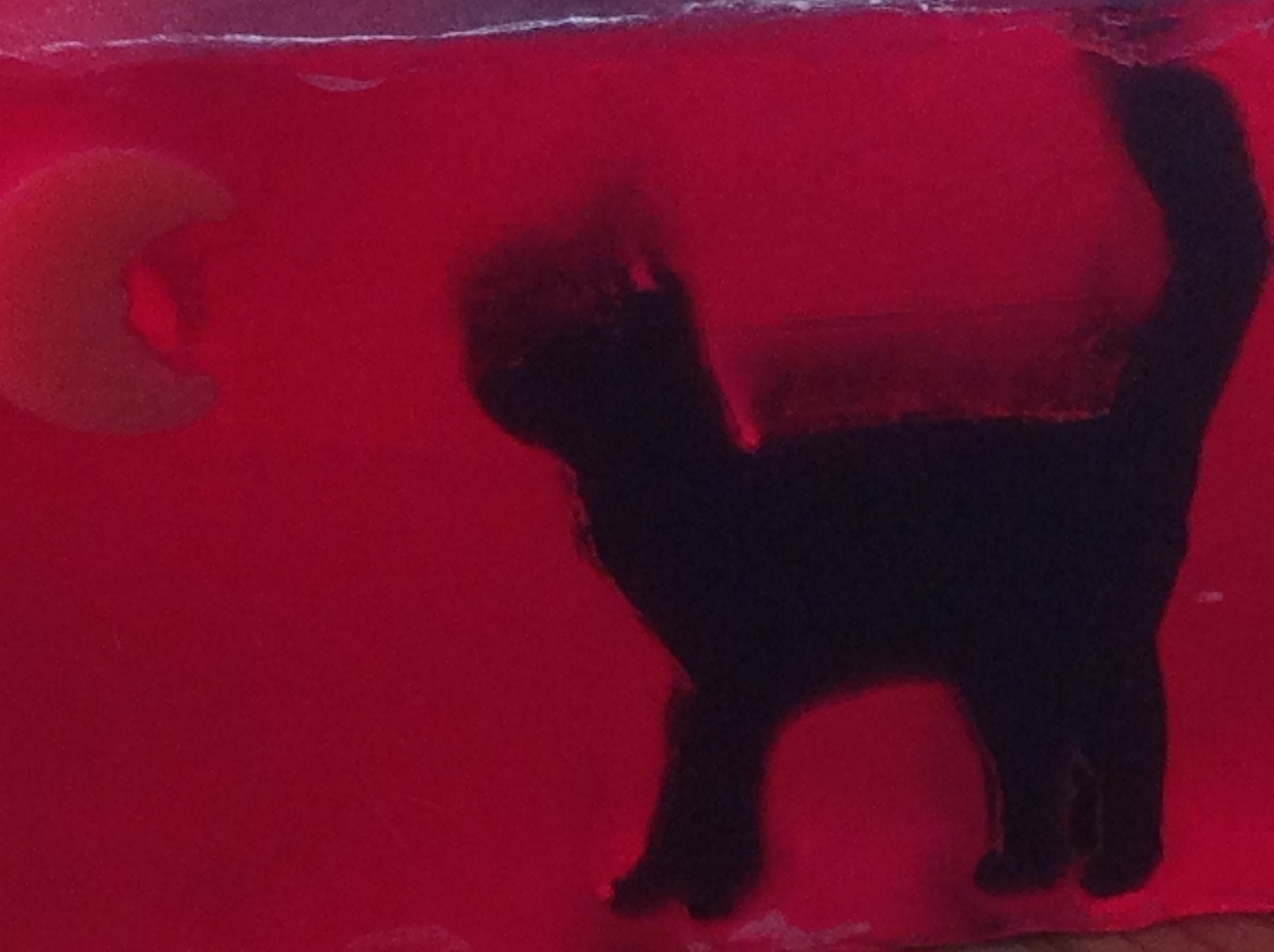 Relatos para niños ordinarios (Foto 2)