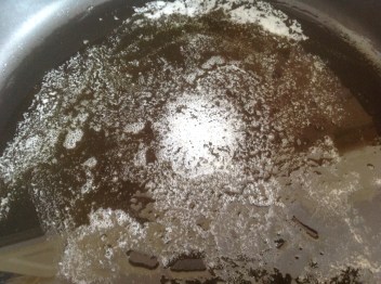 VESANIA MUNDI (FOTO 1)