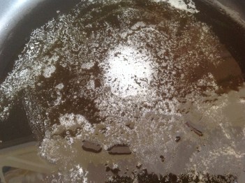 VESANIA MUNDI (FOTO 2)