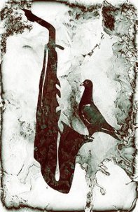 AVE DEL PARAISO (FOTO 2)