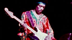 HENDRIX (FOTO 2)