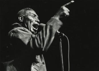 HOWLIN' WOLF (FOTO 3)