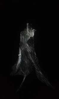 THE WANDERER (FOTO 1)