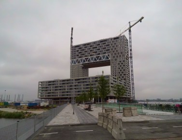 FRIGHTENED RABBIT (FOTO 3)