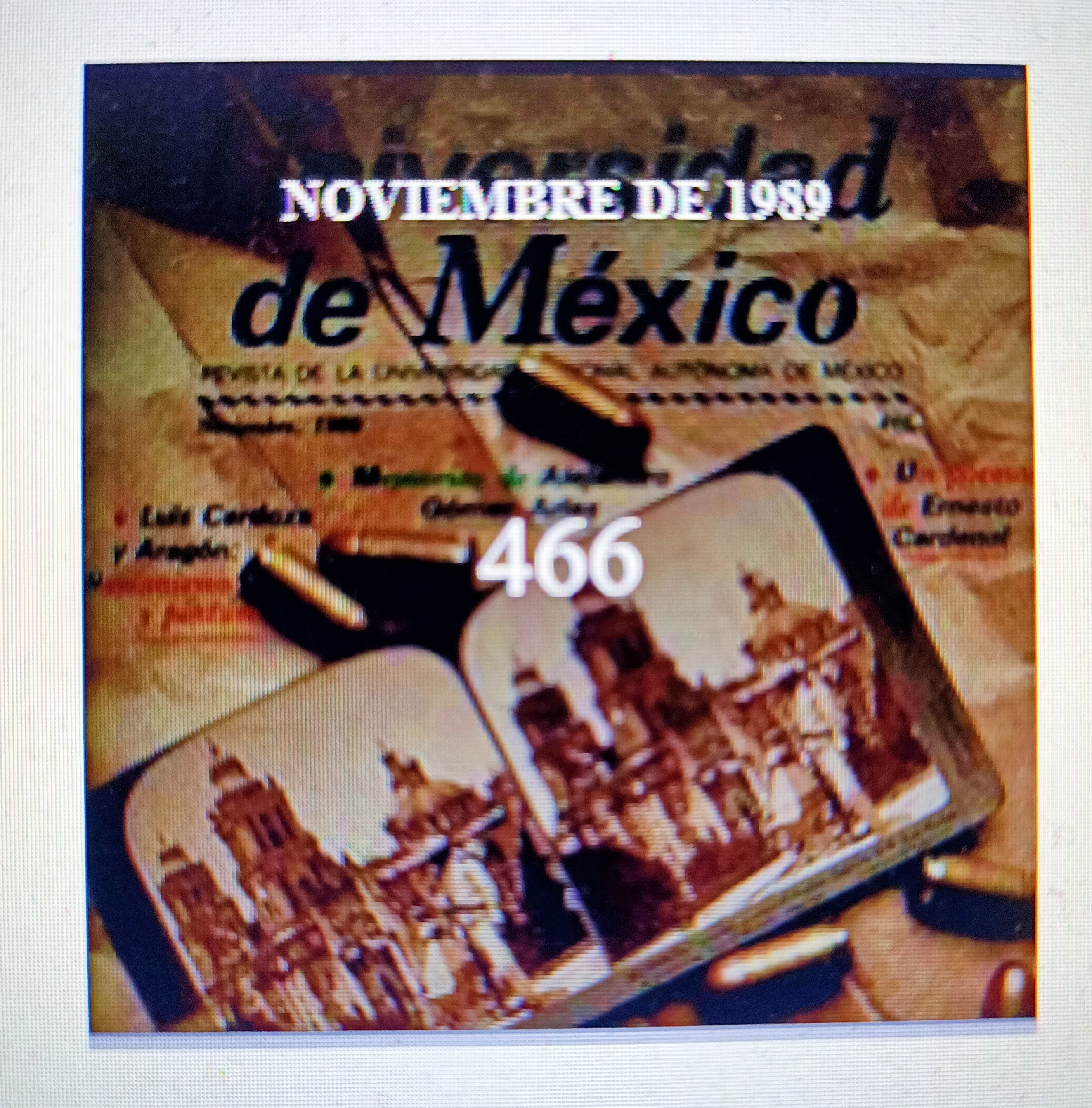 NOVIEMBRE 1989