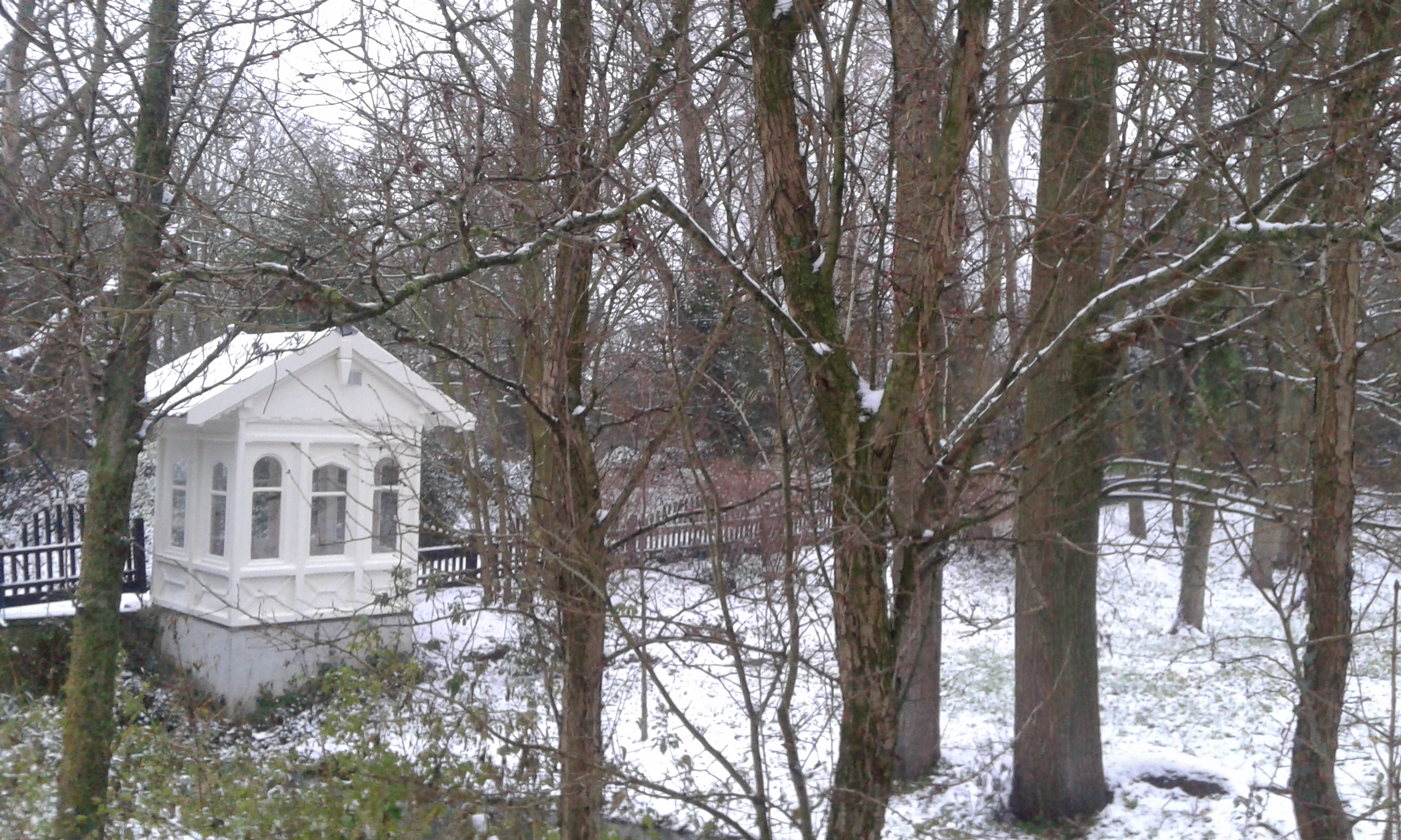 EXPECTACIÓN (FOTO 2)