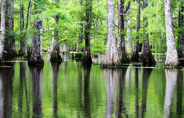 SONNY &amp; SLEEPY (FOTO 1)