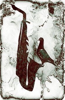 AVE DEL PARAISO (FOTO 2)