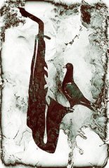 AVE DEL PARAISO (FOTO 2)