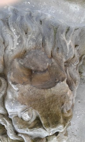 ANIMAL EN CONDOMINIO (FOTO 1)