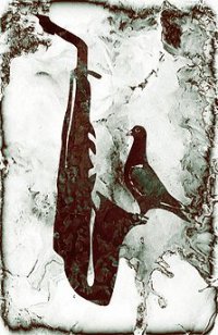 AVE DEL PARAISO (FOTO 2)