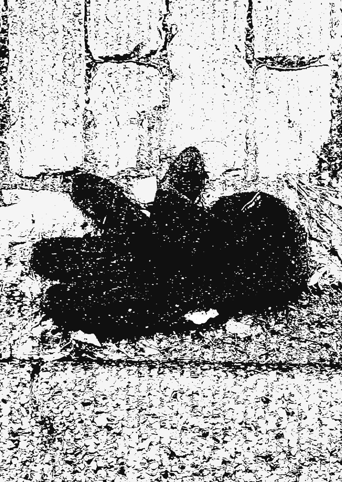 GLOVES 3 (GOTCHA!) (FOTO)