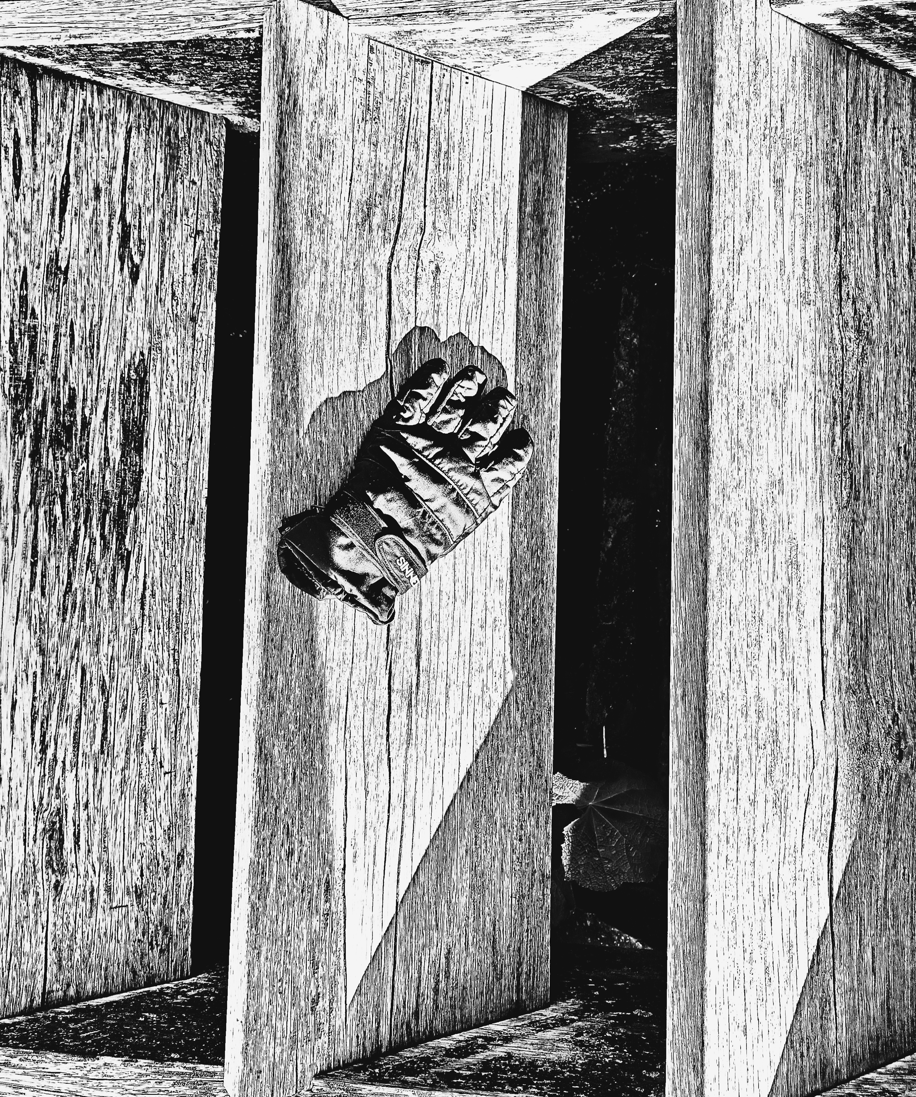 GLOVES 5 (CAPTURED) (FOTO)