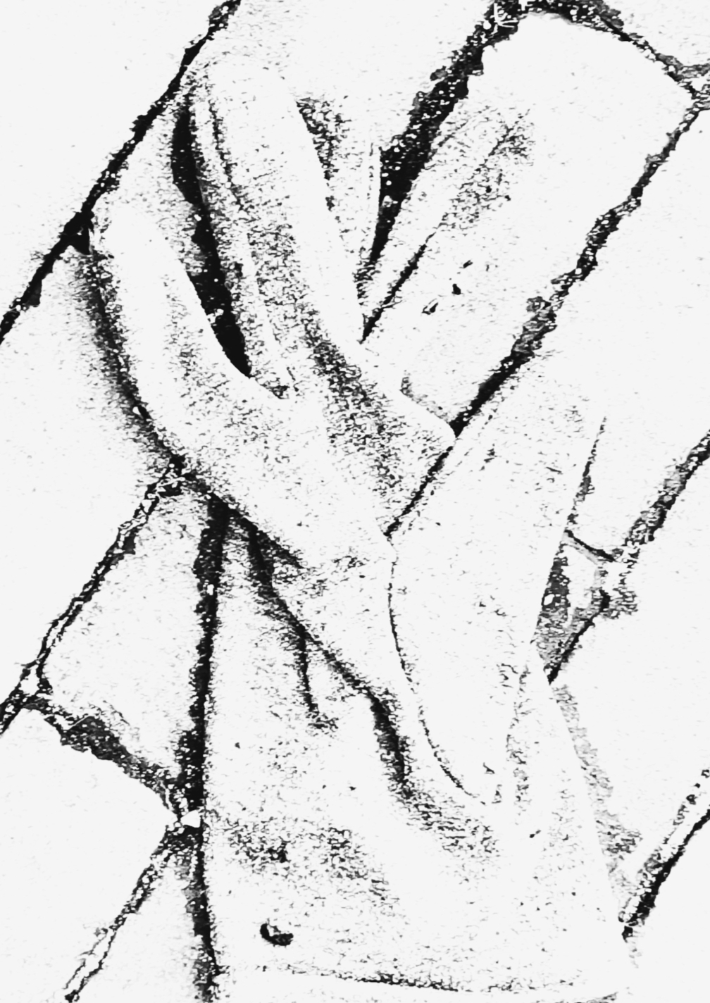 GLOVES 8 (ASPHALT FLOWER) (FOTO)