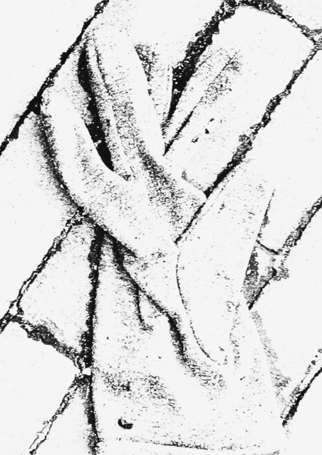 GLOVES 8 (ASPHALT FLOWER) (FOTO)