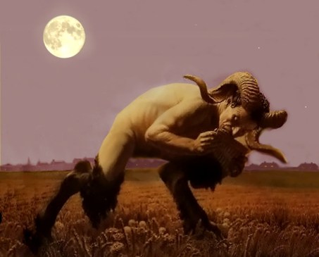 SINOPSIS 40 (FOTO 5)