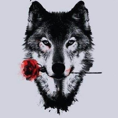 SINOPSIS 66 (FOTO 6)