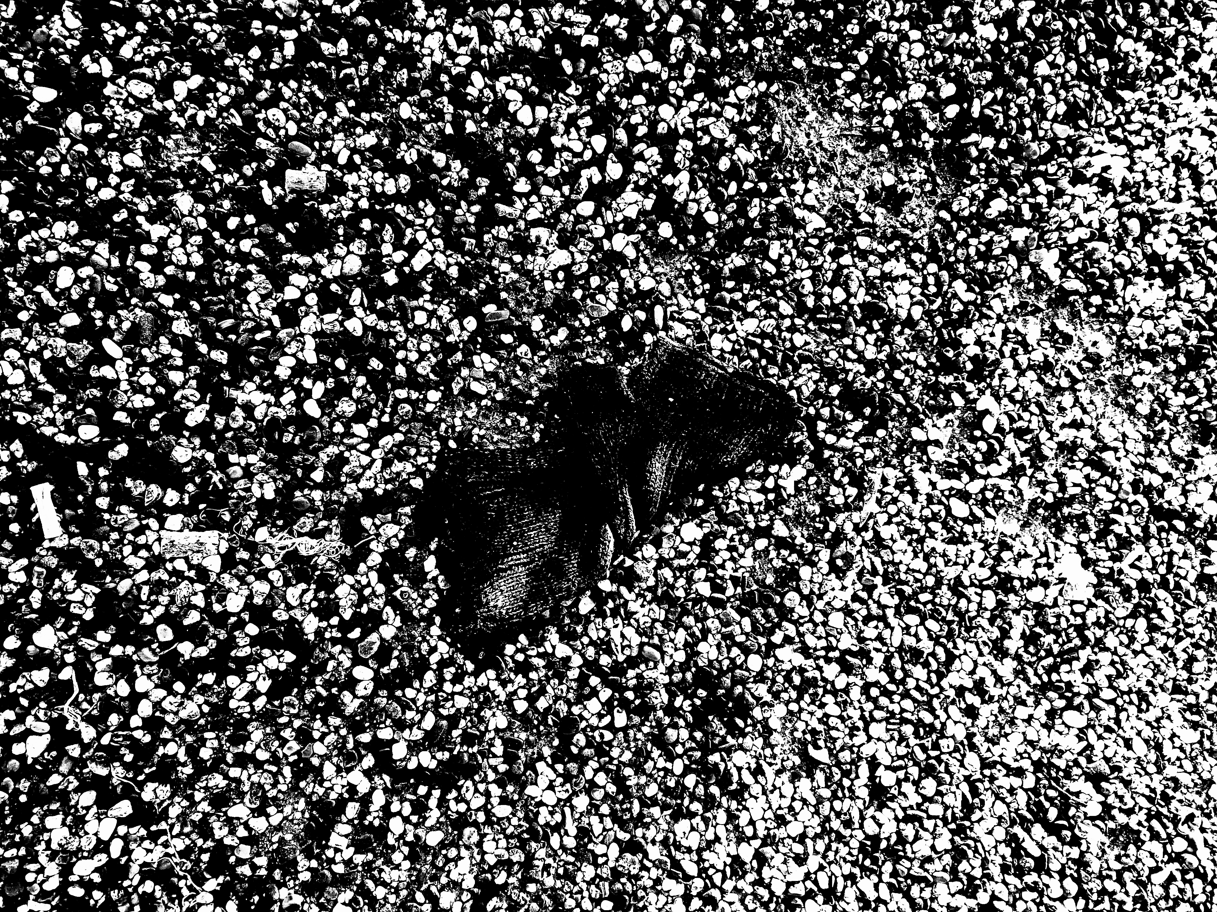 GLOVES 16 (GRAVEYARD) (FOTO)