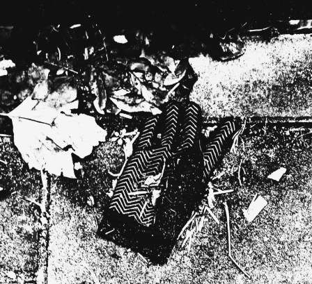 GLOVES 4 (LES FEUILLES MORTES) (FOTO)