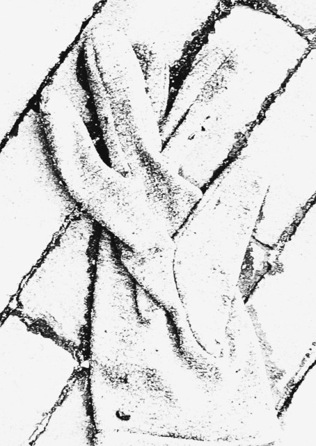 GLOVES 8 (ASPHALT FLOWER) (FOTO)