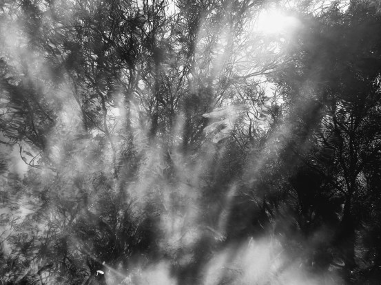 GLOVES 11 (TO BEAT AROUND THE BUSH) (FOTO)