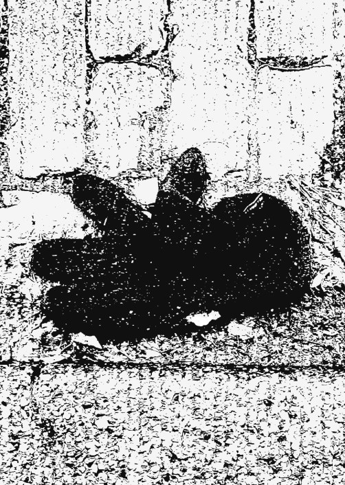 GLOVES 3 (GOTCHA!) (FOTO)