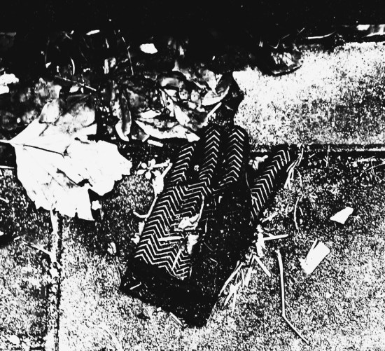 GLOVES 4 (LES FEUILLES MORTES) (FOTO)