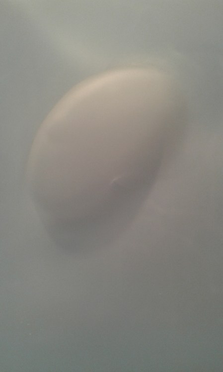 CRYSTALS 5 (LONELINESS)