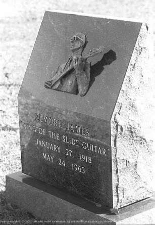 ELMORE JAMES (FOTO 3)