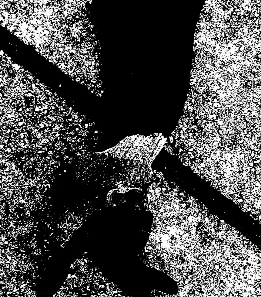 GLOVES 1 (CRUZAR EL CAMINO) (FOTO)